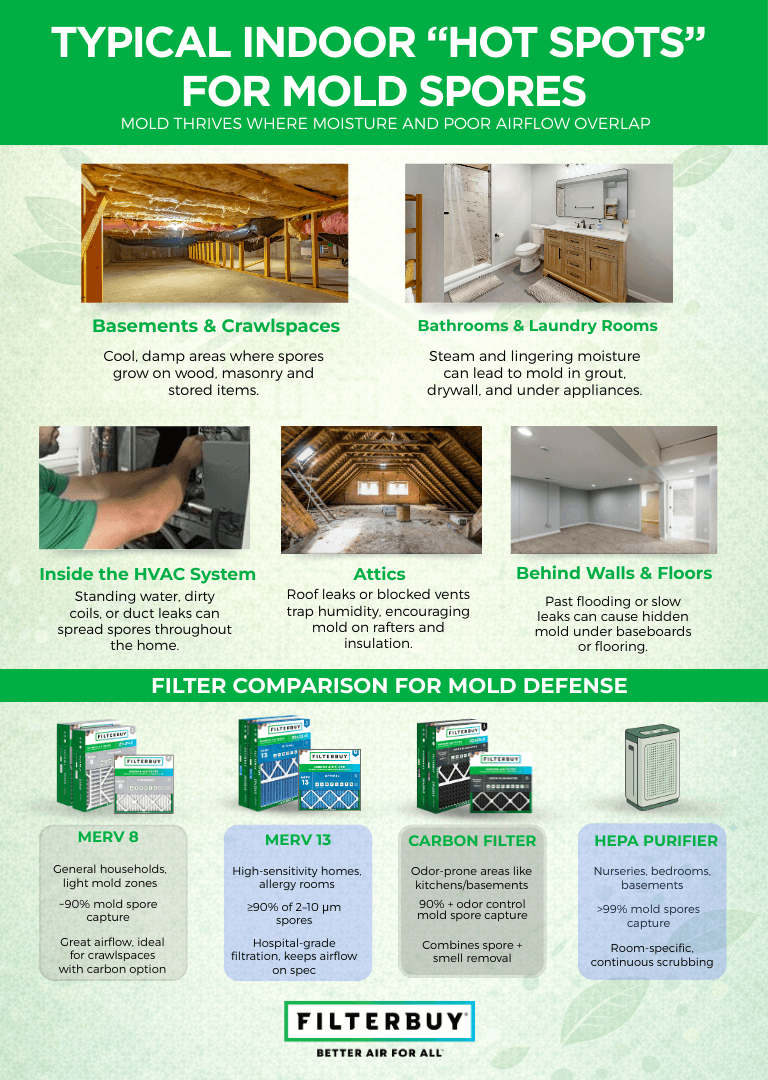 Infographic showing typical indoor hot spots for mold spores, including basements, bathrooms, attics, HVAC systems, and behind walls.